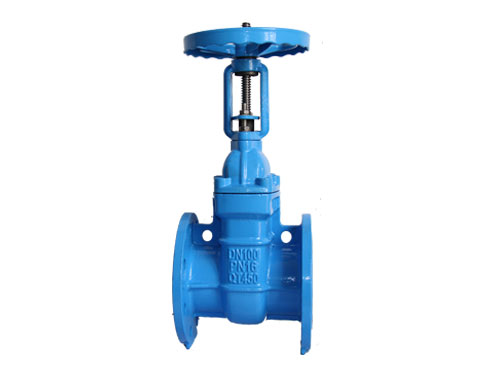 硬密封(feng)明杆防護(hu)閘閥